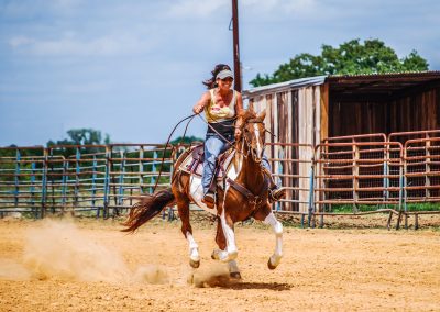 Horse and Rider